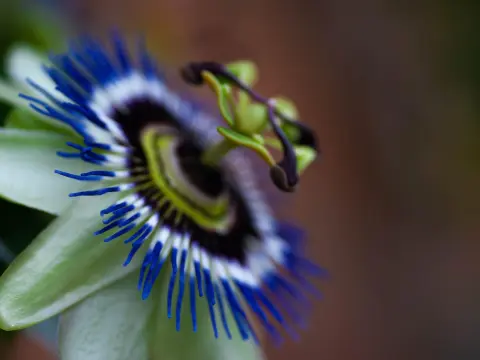  Les jeux de cartes à collectionner à deux joueurs : une passion à partager