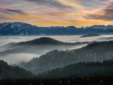 Les jeux d'ambiance pour créer des souvenirs mémorables en voyage