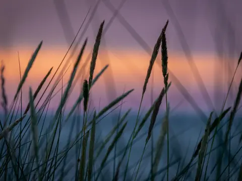  Les jeux d'ambiance parfaits pour briser la glace lors d'une soirée entre collègues