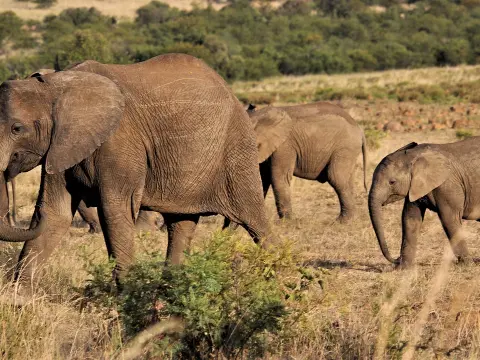  Les jeux de société les plus populaires dans le monde entier