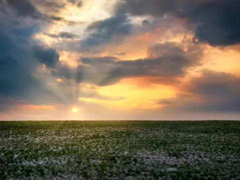  Les jeux d'ambiance à thème pour une soirée à thème réussie
