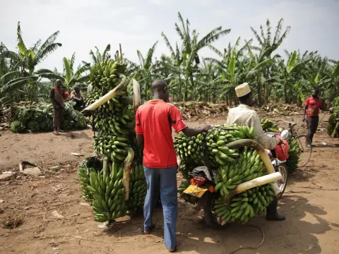  Les jeux de société vintage qui font leur grand retour sur le marché