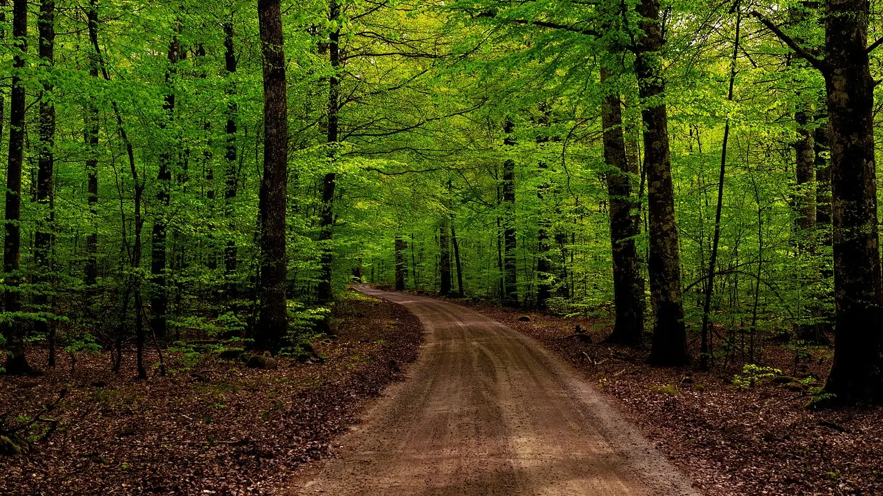 Les jeux d'ambiance qui mettront l'ambiance lors d'un road trip