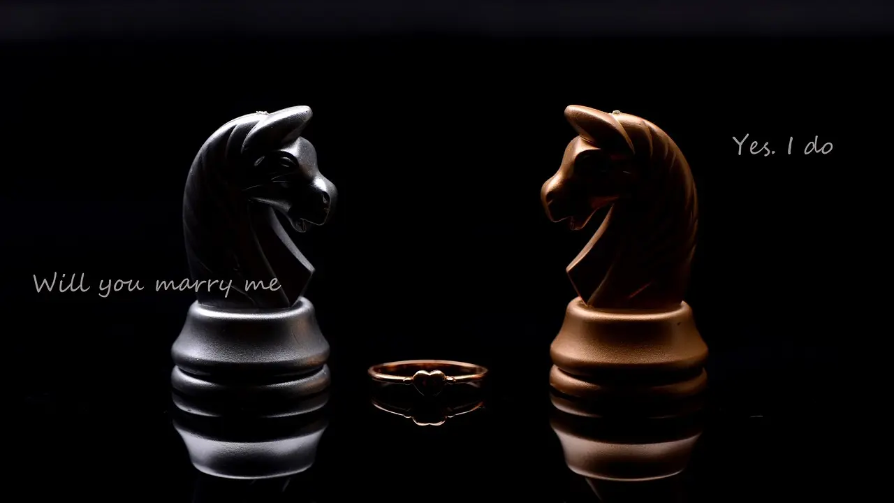 Comparaison entre le jeu de dames et les échecs